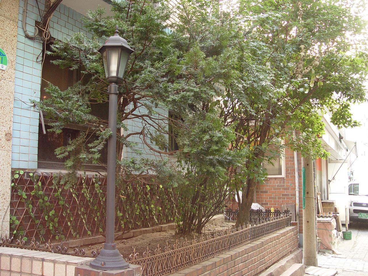 Saewha Hostel Seoul Eksteriør bilde